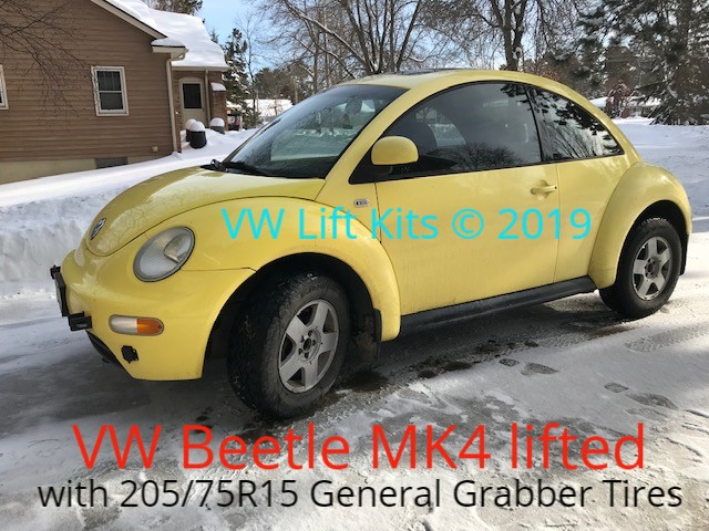 William and Lee's Beetle